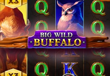 Автомат Big Wild Buffalo в Sykaaa Casino