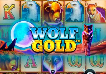 Автомат Wolf Gold в Sykaaa Casino